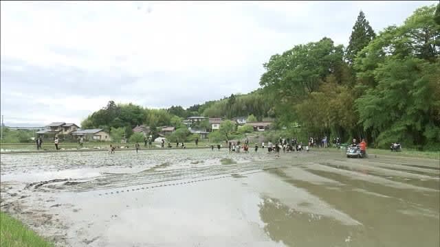 手越祐也さん 子どもたちと一緒に田植え～収穫｜福島県郡山市