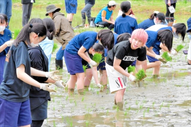 手越祐也さん 子どもたちと一緒に田植え～収穫｜福島県郡山市